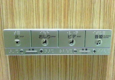 Notice those patterns of raised dots?  Those are Braille, making this toilet blind-friendly. 