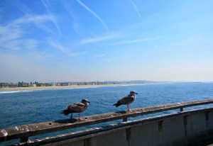 messengers of my lucky omen