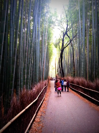 my family from afar, posing for some photo opp
