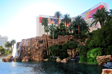 the mirage