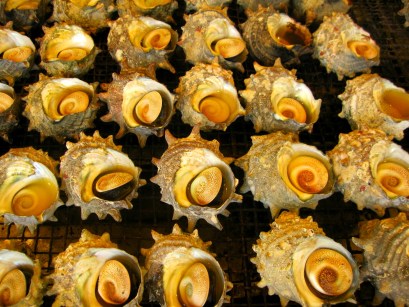 step aside escargot... sazae is here...