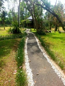 there's 50 of us yet the place still is peaceful and tranquil...