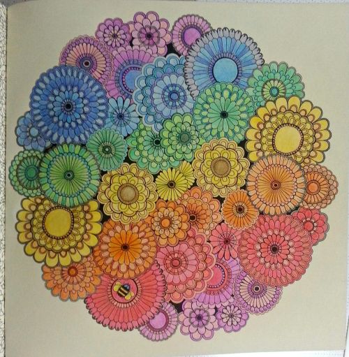 i know my color wheel...