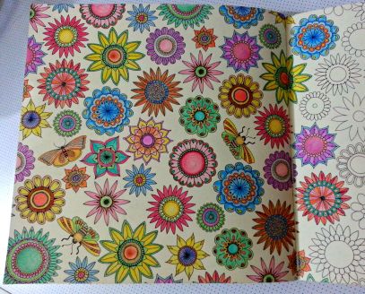 flowers and the "ipis" (as per nengkoy)