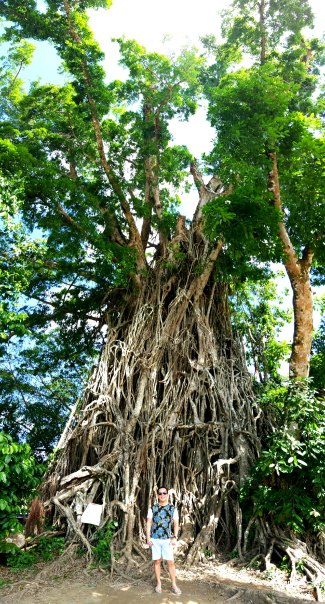 nature's gigantic masterpiece