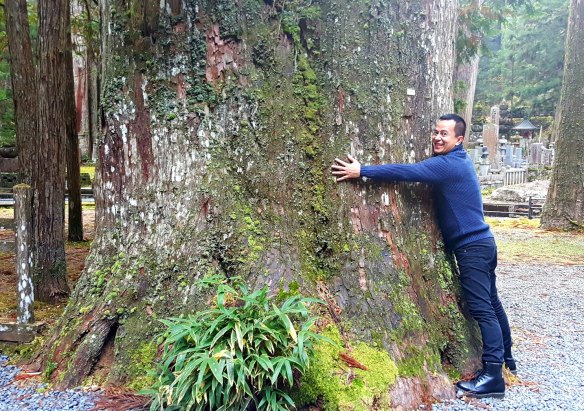 hugging a massive tree at okunoin...