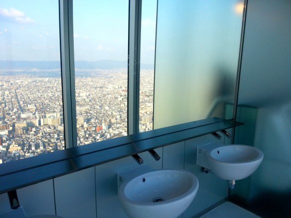 one rare view for a toilet!