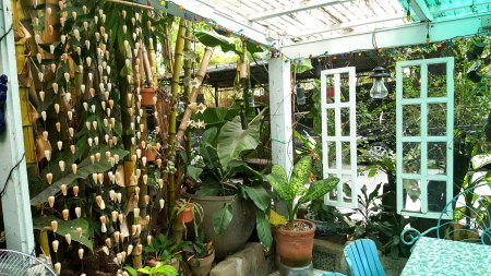 greens and shells at the patio area