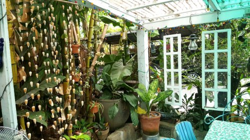 greens and shells at the patio area