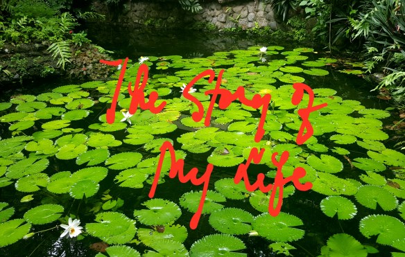 the story of my life