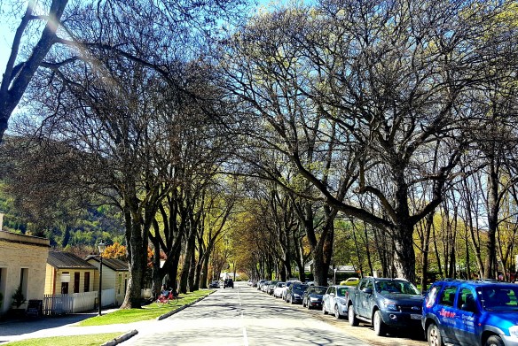 early arrowtown spring