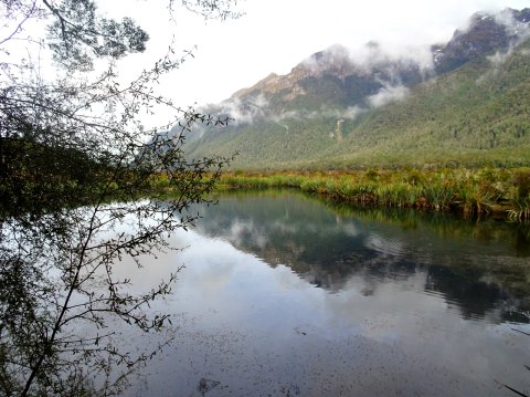 can't believe that I made this shot!